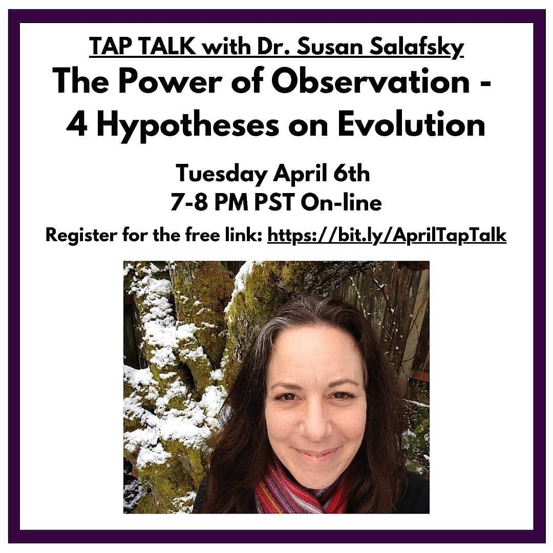 Tap Talks Corvallis tweet media