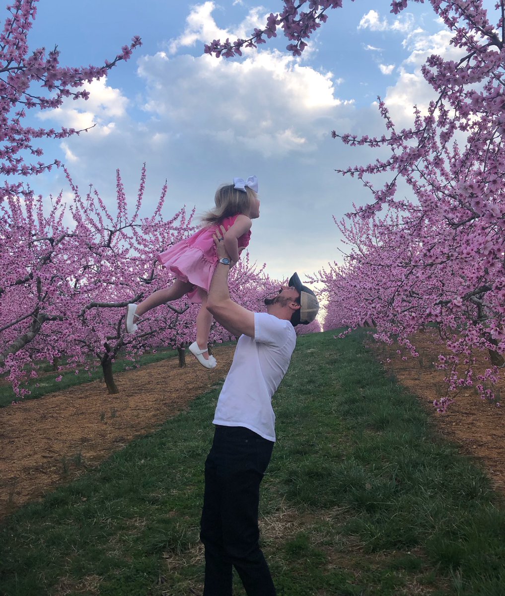 Peach blossoms at <a href="/orrsfarmmarket/">Orr's Farm Market</a>