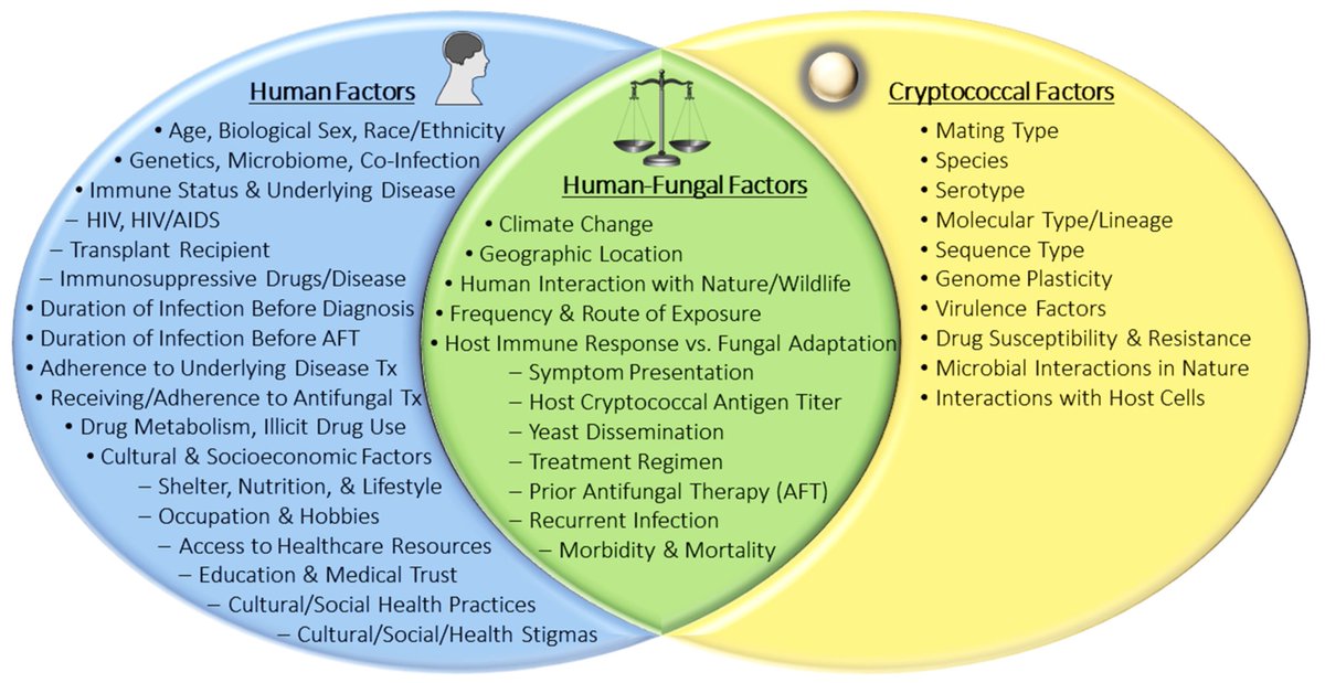 "Associations between #Cryptococcus #Genotypes, Phenotypes, and #Clinical Parameters of Human Disease: A Review " from Dr. John R. Perfect 
Full text: mdpi.com/2309-608X/7/4/…