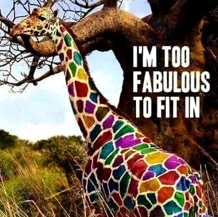 AutumnLife420's tweet photo. #Fabulous https://t.co/zv2MJ4bc0S