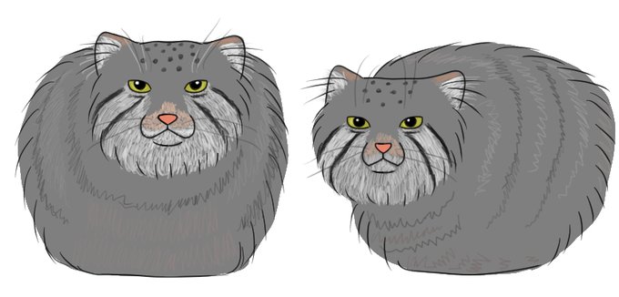 マヌルネコのtwitterイラスト検索結果