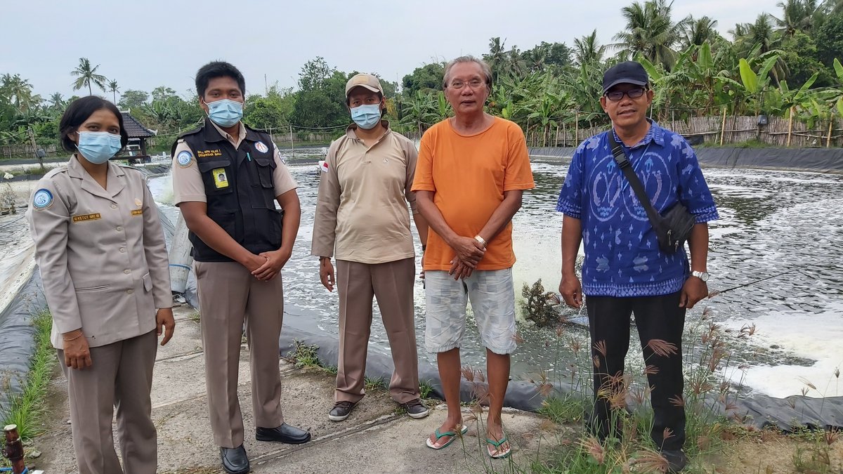 Ayyuandari's tweet photo. #aksiluhkanjembrana Selasa, 6 April 2021, Fasilitasi pengambilan sampel udang vanamei terkait pemantauan HPIK bersama Tim Pemantauan Balai KIPM dan luhkan PNS Suyadi, di Kec. Negara, Kab. Jembrana, Bali.
@puslatluhkp @RISET_GONDOL @brsdm_kp @ipkani_jembrana https://t.co/5qh0CiIyS9