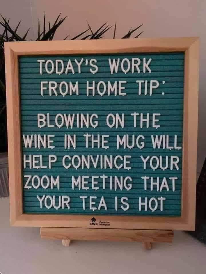 I don’t hide my wine anymore 🤷‍♀️
