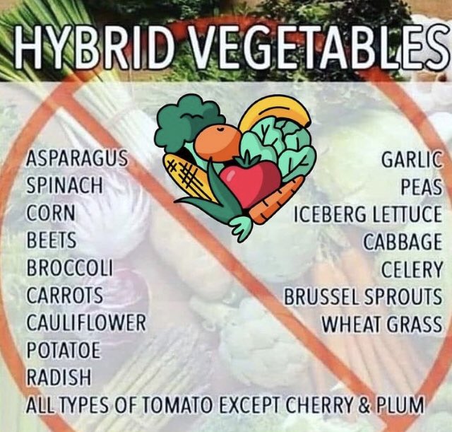 SeamossBlend's tweet photo. Genetically modified organism! #notfood #gmo #veggies #healthiswealth #spreadknowledge https://t.co/oz8TLKDits