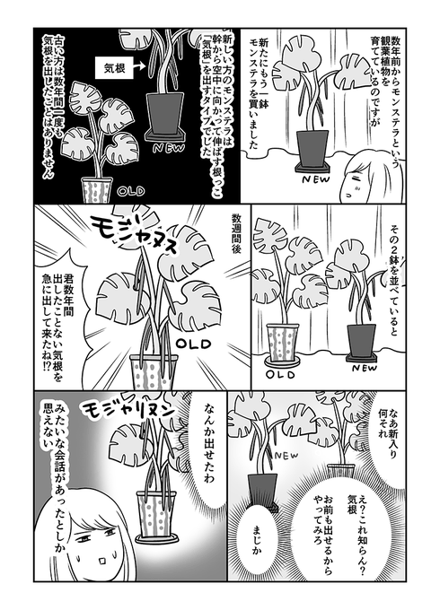 植物が不思議だった話(再掲) 