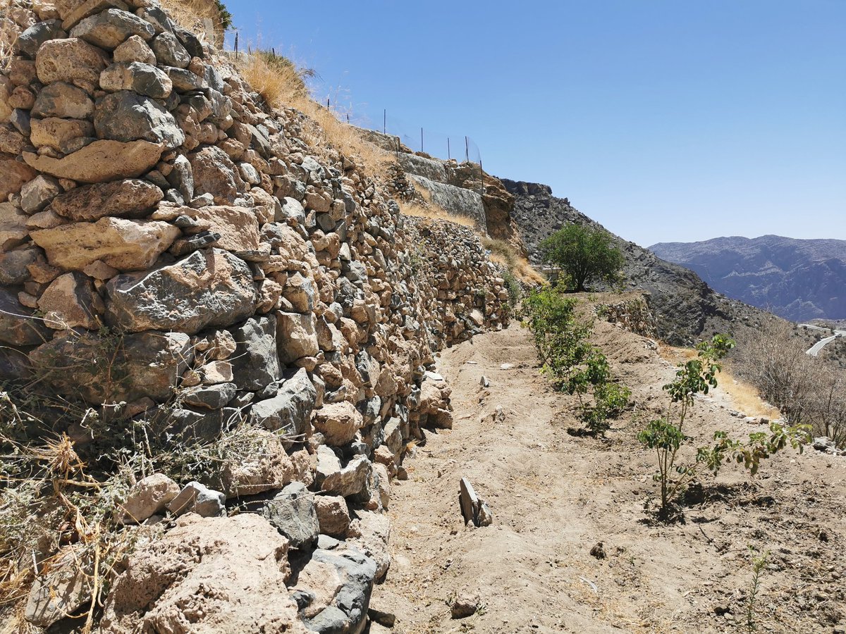 عندمايمحو الأسمنت الإرث الحضاري الذي تمتلكه قرية الشريجه، وعندما نمحو تاريخنا بأيدينا دون الإلتفات لذلك سيأتي يوم لا نستطيع فيه تعليم أبنائنا عن تلك العقول والأنامل التي شيدت مدرجات الجبل الأخضر <a href="/OmanMHT/">وزارة التراث والسياحة - سلطنة عُمان</a>