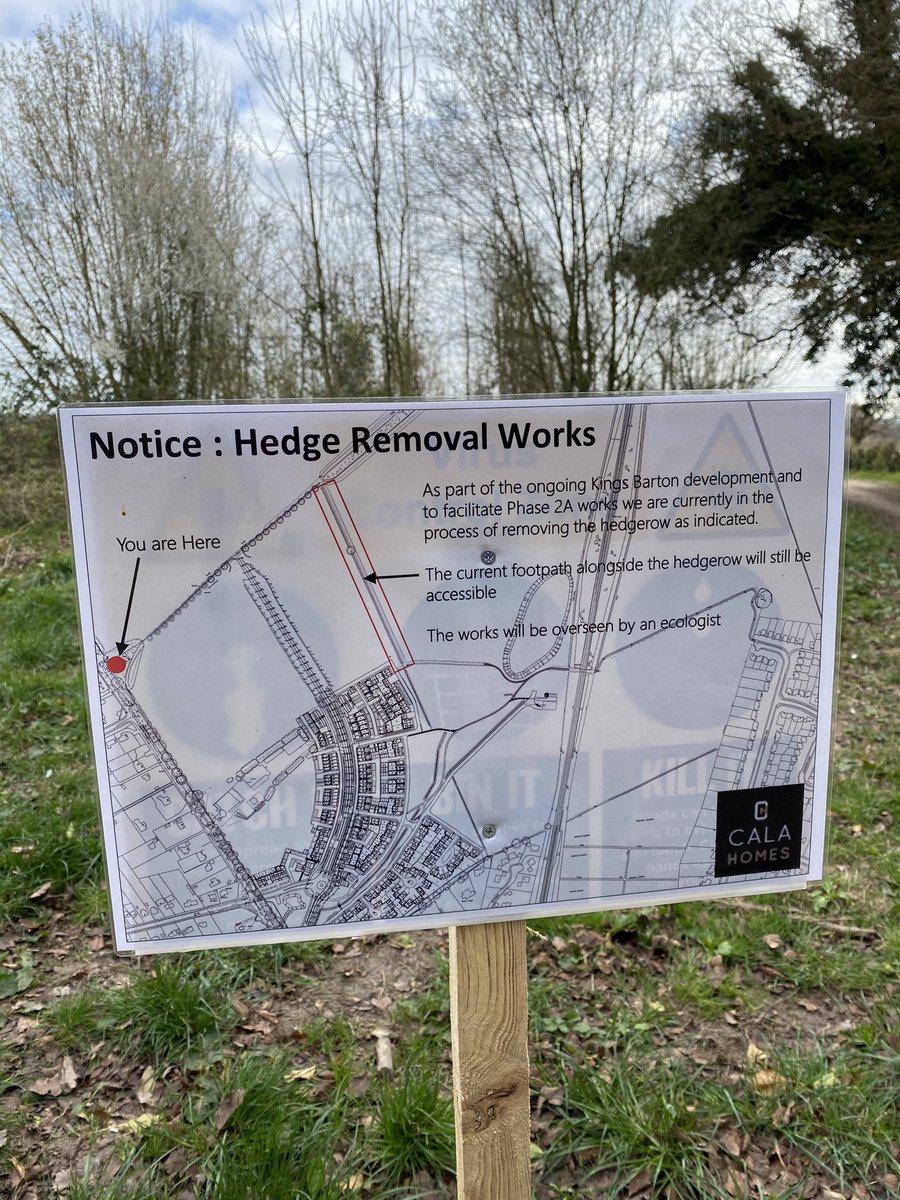 Lesley Mackinnon (lesleymackinnon) Twitter