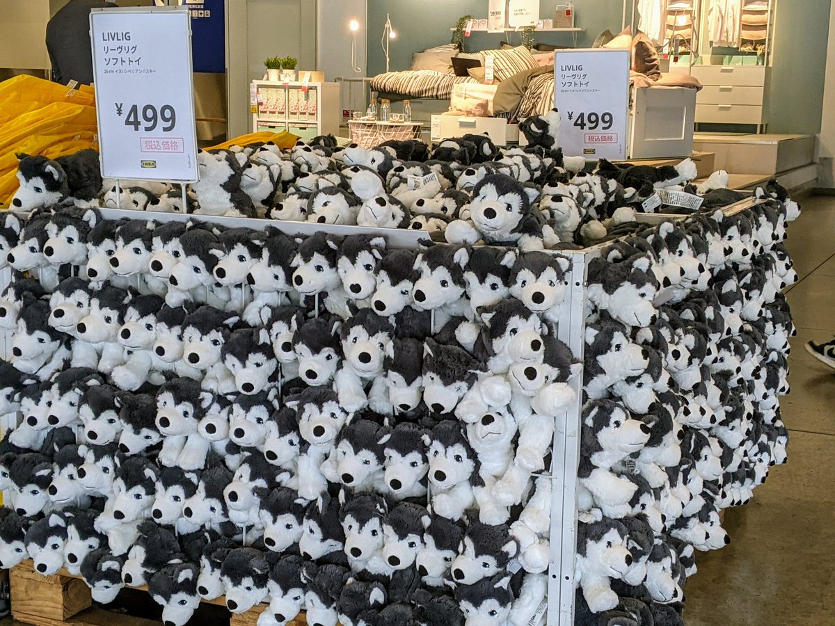 R 9 Ikea 入るなり犬が積まれている T Co Nkwrzrn5nt Twitter