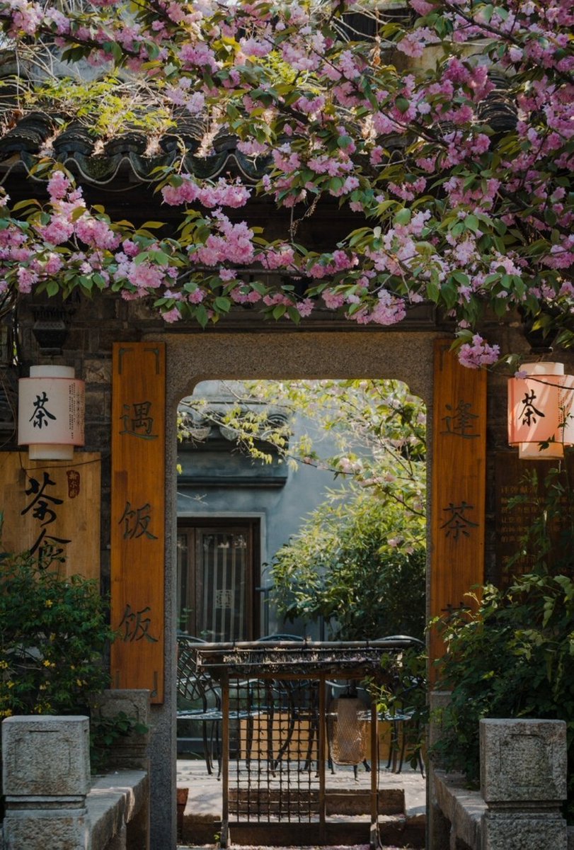EliteReference's tweet photo. In Suzhou, the flowers in front of the old house are blooming, releasing the vitality of life #Flowers #SpringBreak #spring #SpringWhereverWithSakura #Travel https://t.co/cALI7A3rws