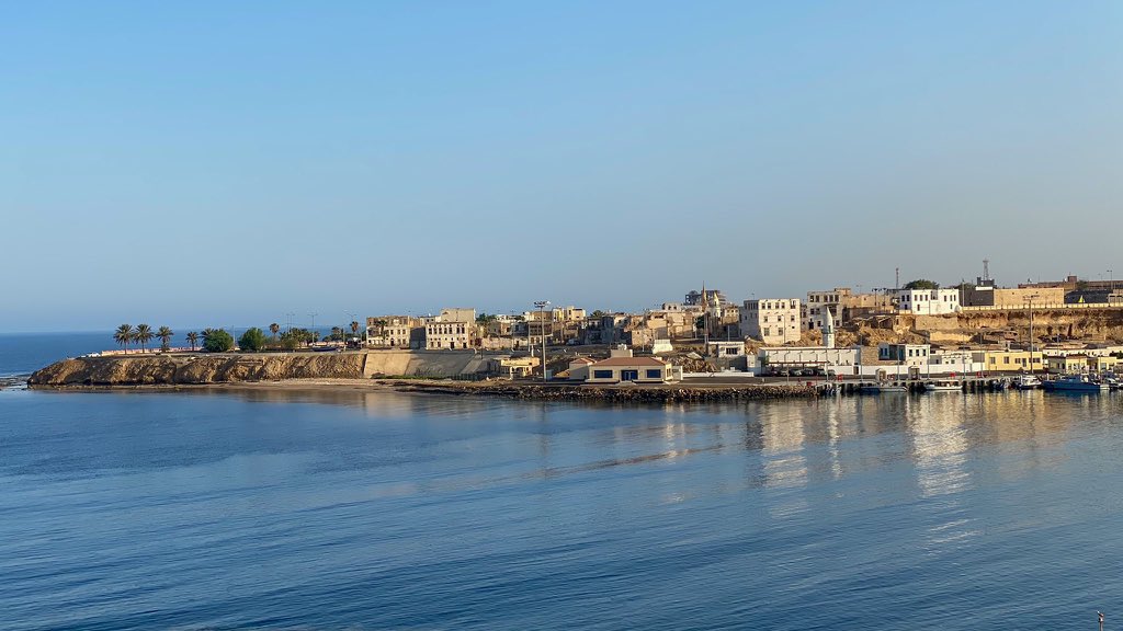 محمد العلي tweet media