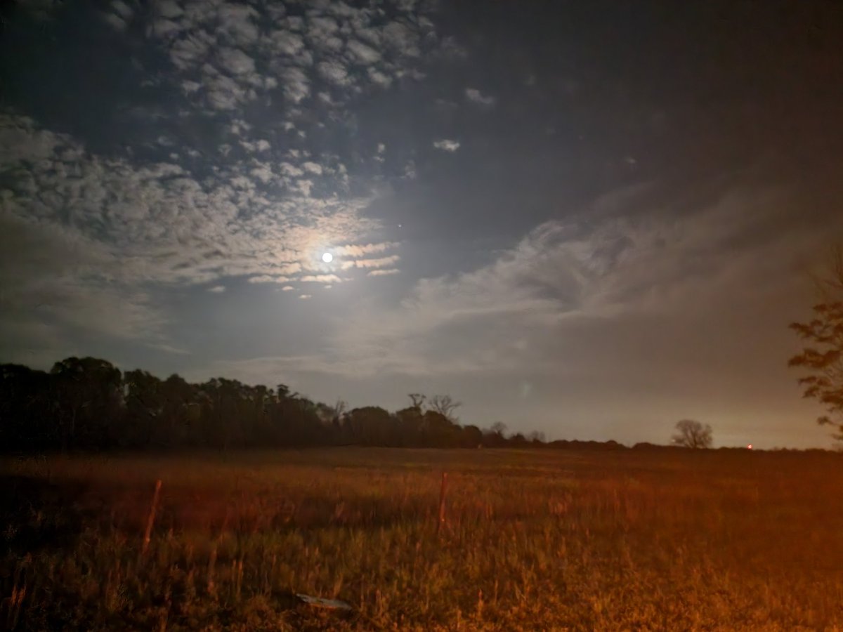 thisguy1013's tweet image. Not bad for a phone camera zoomed in to get this shit of the moon from where I was standing in the shot of the field. #GalaxyS21Ultra kudos ... Now if only my hands wear steady enough to get a better shot.