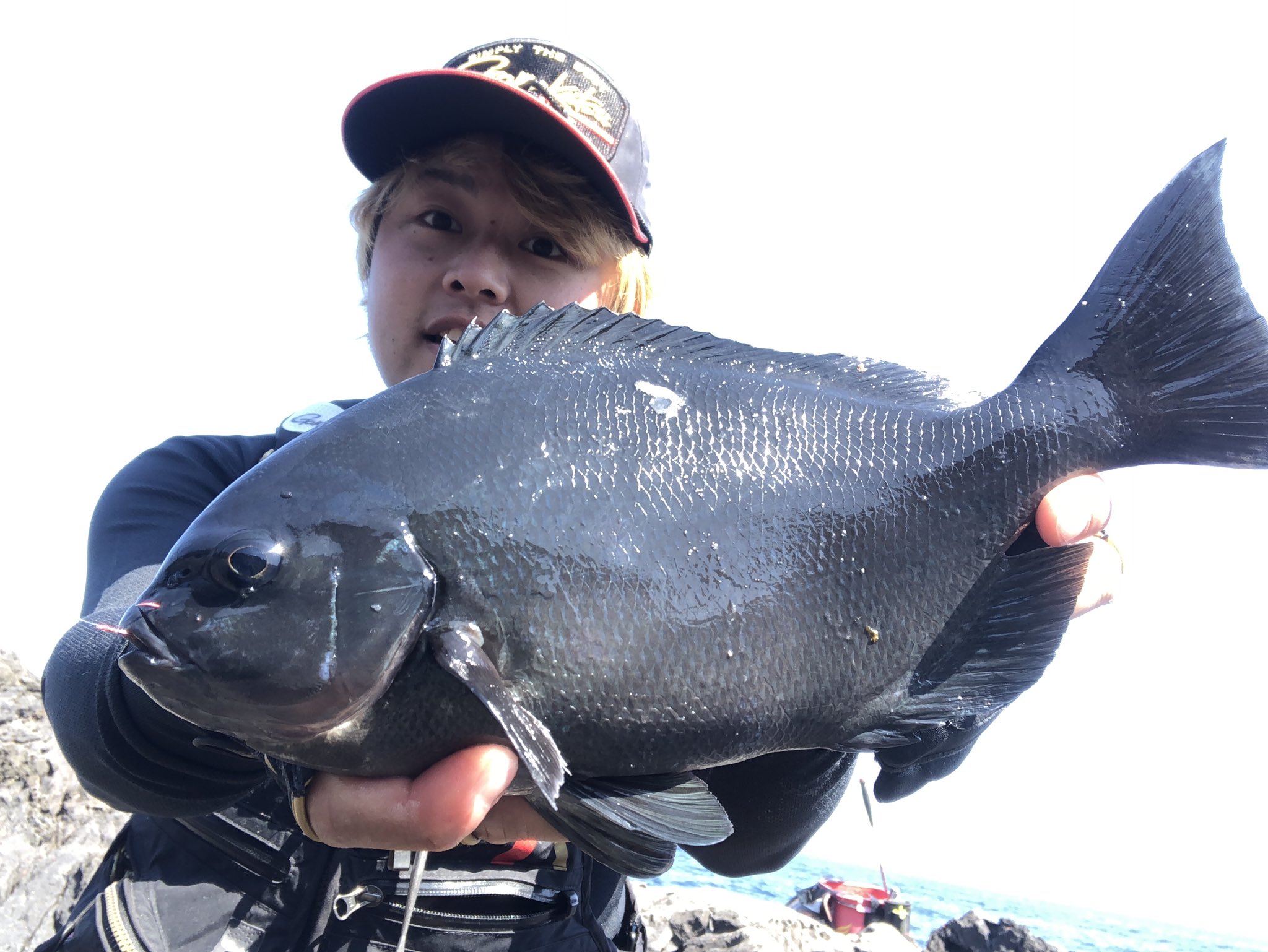ミネ Marine Koike なんか最近尾長と口太のハイブリッドみたいなの多いよね笑 Twitter