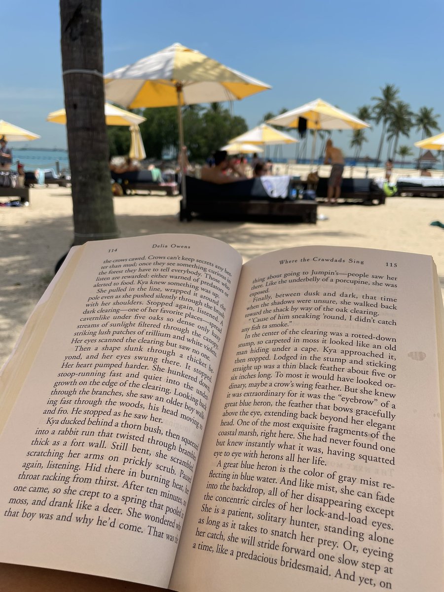 Molly Ball tweet media