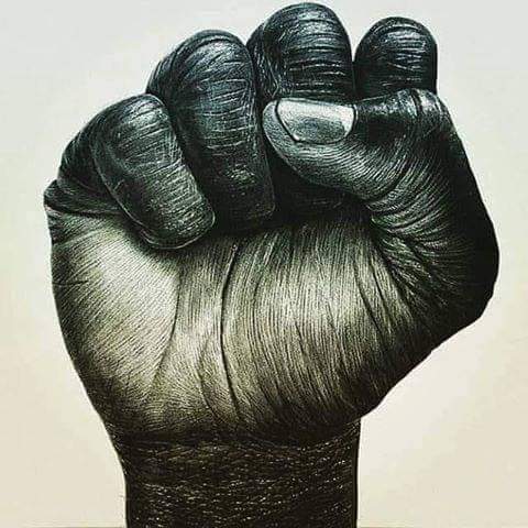 "The integral defense methodology that has been sustained by MACUA through capacity building, advocacy strategic communications,  litigation and strengthening organizing processes social audits pushing for FPIC to be legislated proven to be significant defense of their rights."