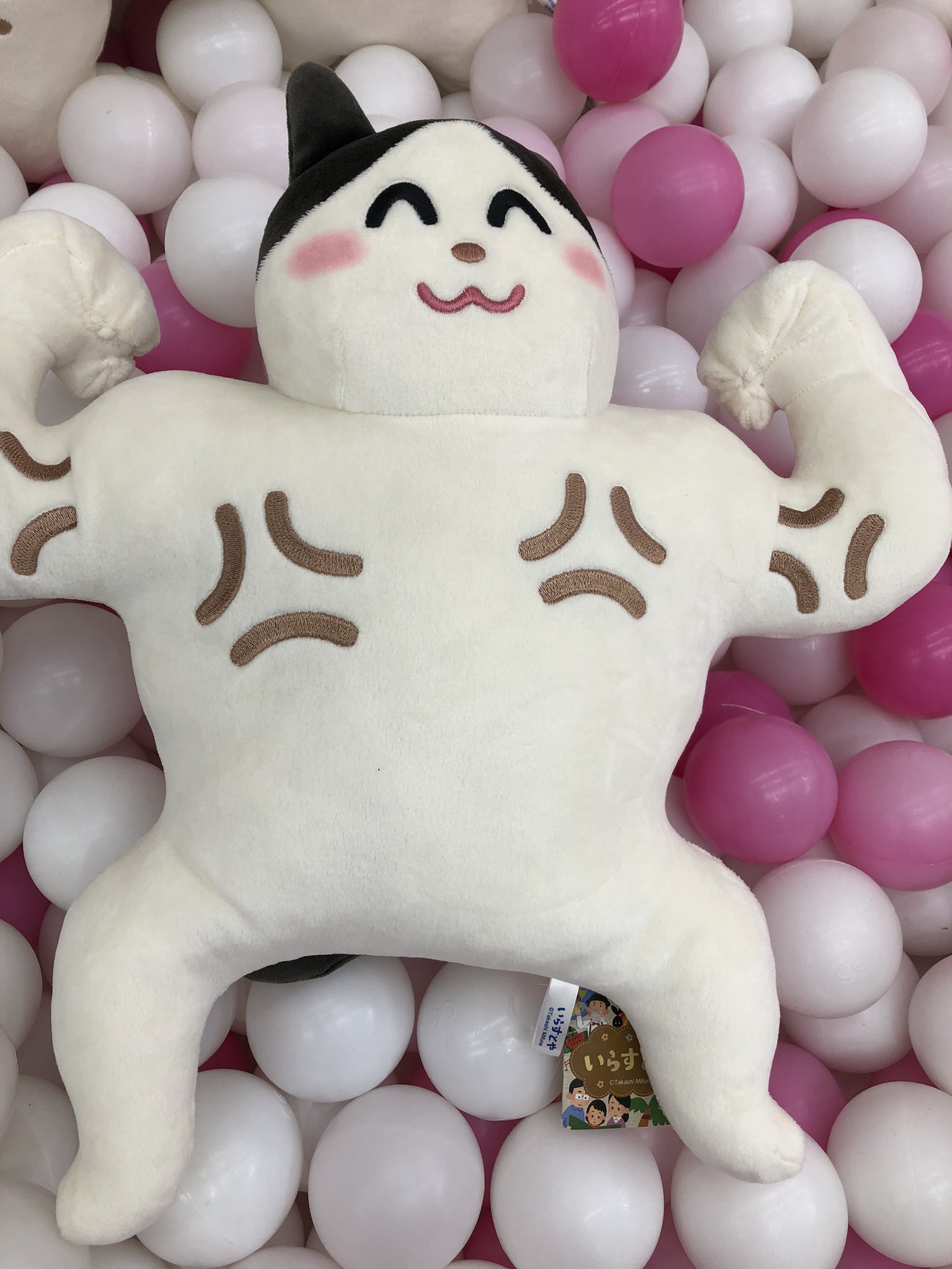 タイステ町田 新景品 いらすとや 枕にもなるbigぬいぐるみ いらすとやからむきむきぬいぐるみと顔ちっさぬいぐるみが登場してます なんともユニークなぬいぐるみでございます いらすとや タイステ 町田 T Co Wgv5bfjvrj Twitter