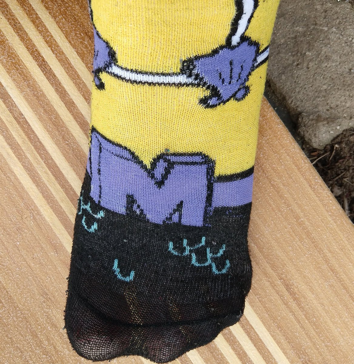 hen_aimee's tweet photo. felt like fighting evil while building up a sweat on the 🛹
#feet #socks #sockpics #feetpics #skatergirl #girlswhoskate #sweatyfeet #socktease https://t.co/PO8kxqJ9ak