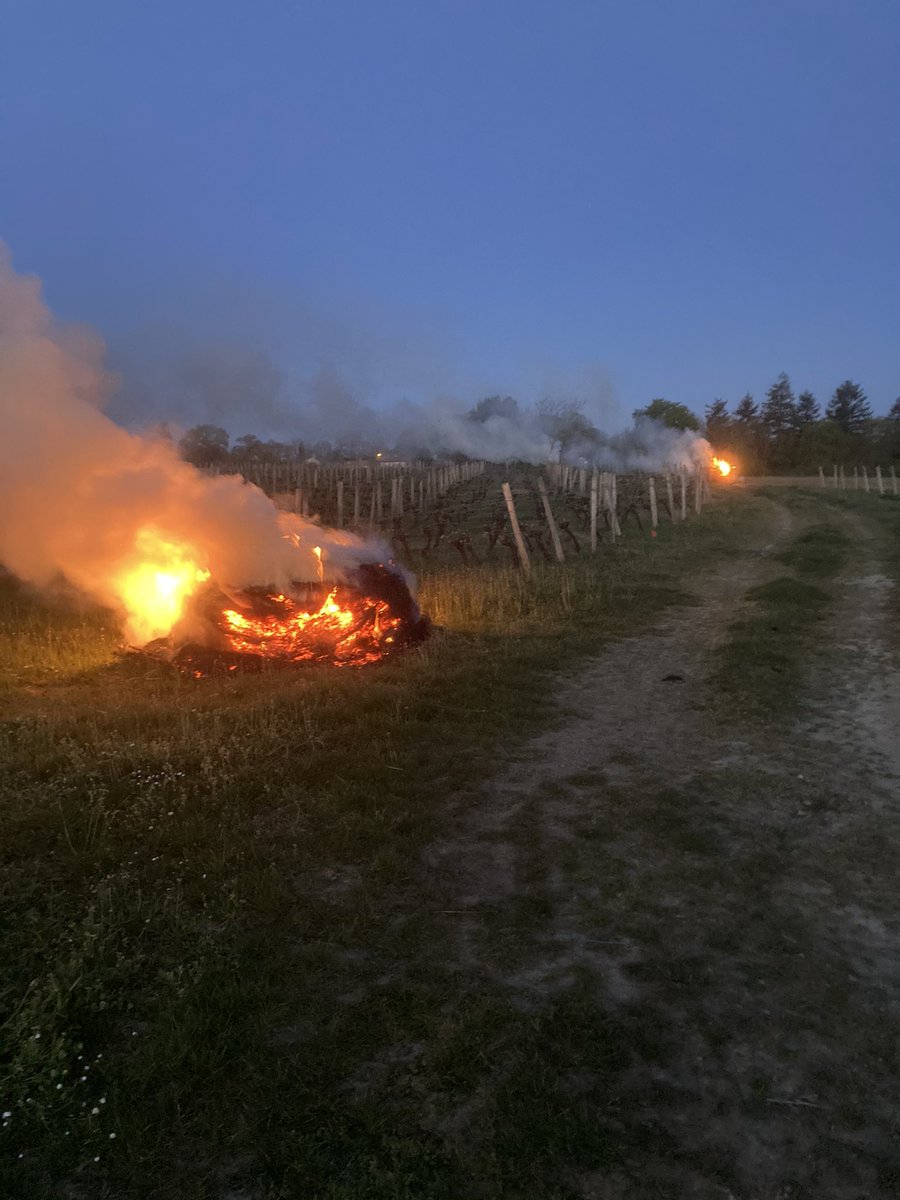 forgerit_d's tweet photo. -2 degrés ce matin sur Mareuil sur Lay (Vendée),on protège nos vignes contre ce gel #vendee #fiefs Vendéens https://t.co/ikC40V7Ox9