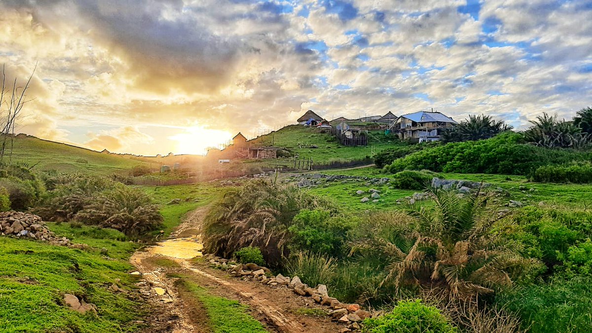 Backpacking South Africa tweet media