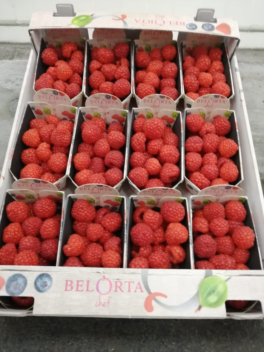 lambrecht_jo's tweet photo. Vandaag brachten onze telers de allereerste frambozen, de prelude van het nieuwe zachtfruitseizoen bij @VeilingBelOrta #primeur #zachtfruit. https://t.co/Jd7kHHsv7A