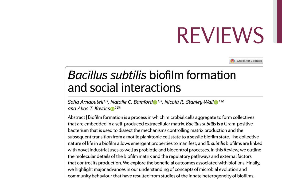 See our new @NatureRevMicro Review on B.subtilis biofilm and its social side
- with @MicroSofia @natalie_bamford and @bacteriacities 

#matrix #biofilmregulation #plantinteraction #probiotics #evolution #application #SecondaryMetabolites #interaction 

nature.com/articles/s4157…