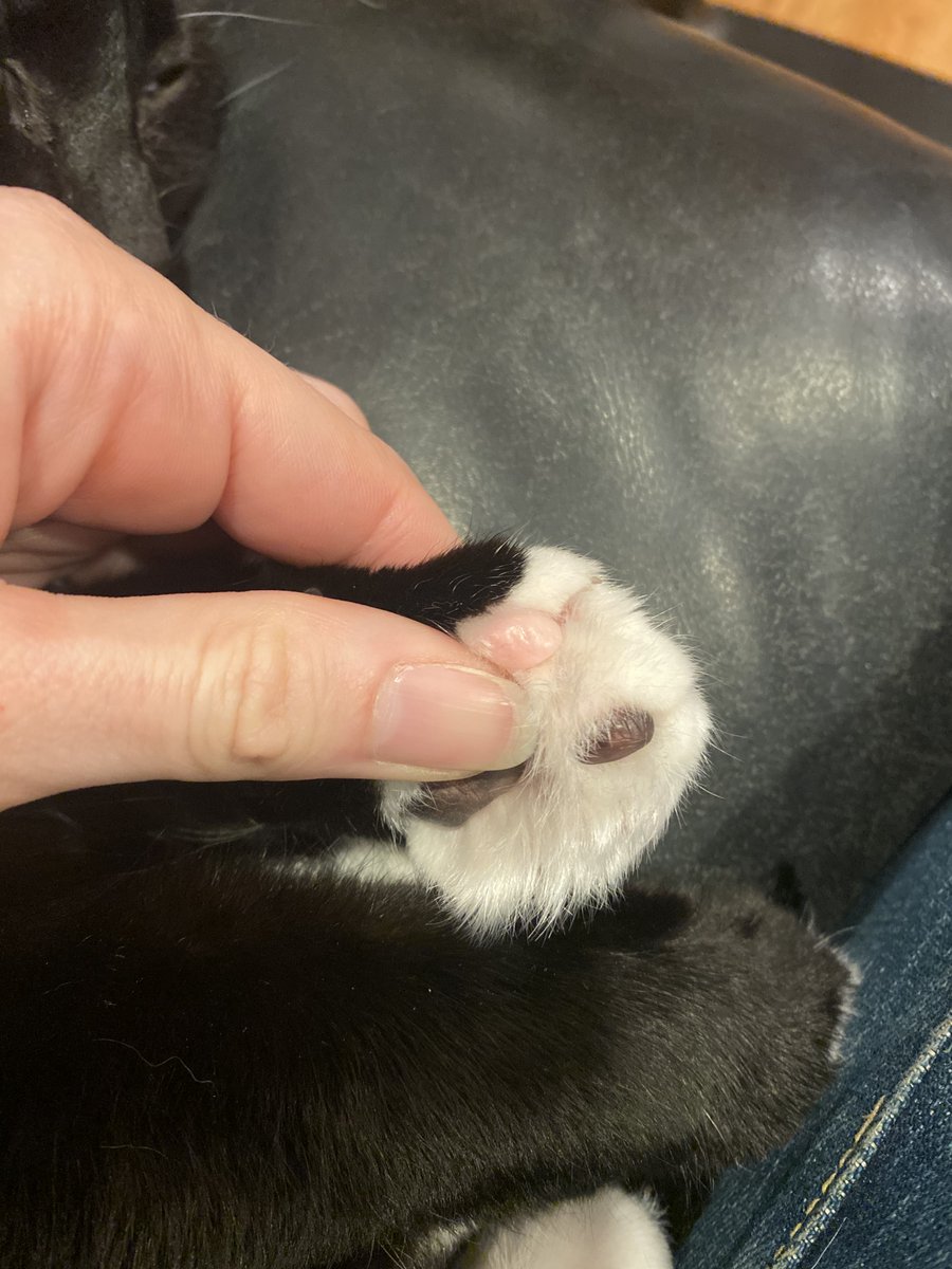 Jade Vance tweet media