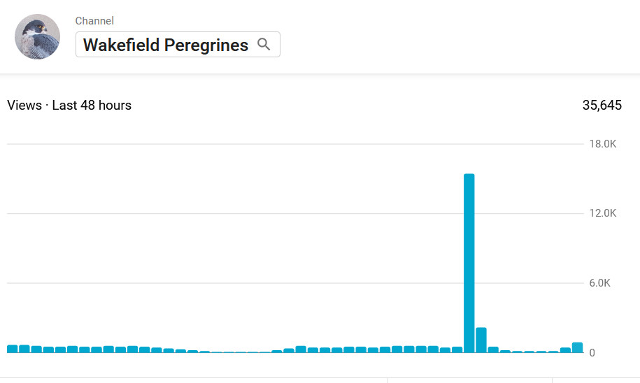 WfldPeregrines's tweet image. The News-at-Ten effect shows up in our YouTube stats. The spike marks 15,367 hits in one hour. We usually have several hundred per hour. @neilconneryitv @JoeShute @itvnews @WakeCathedral @ryangrint