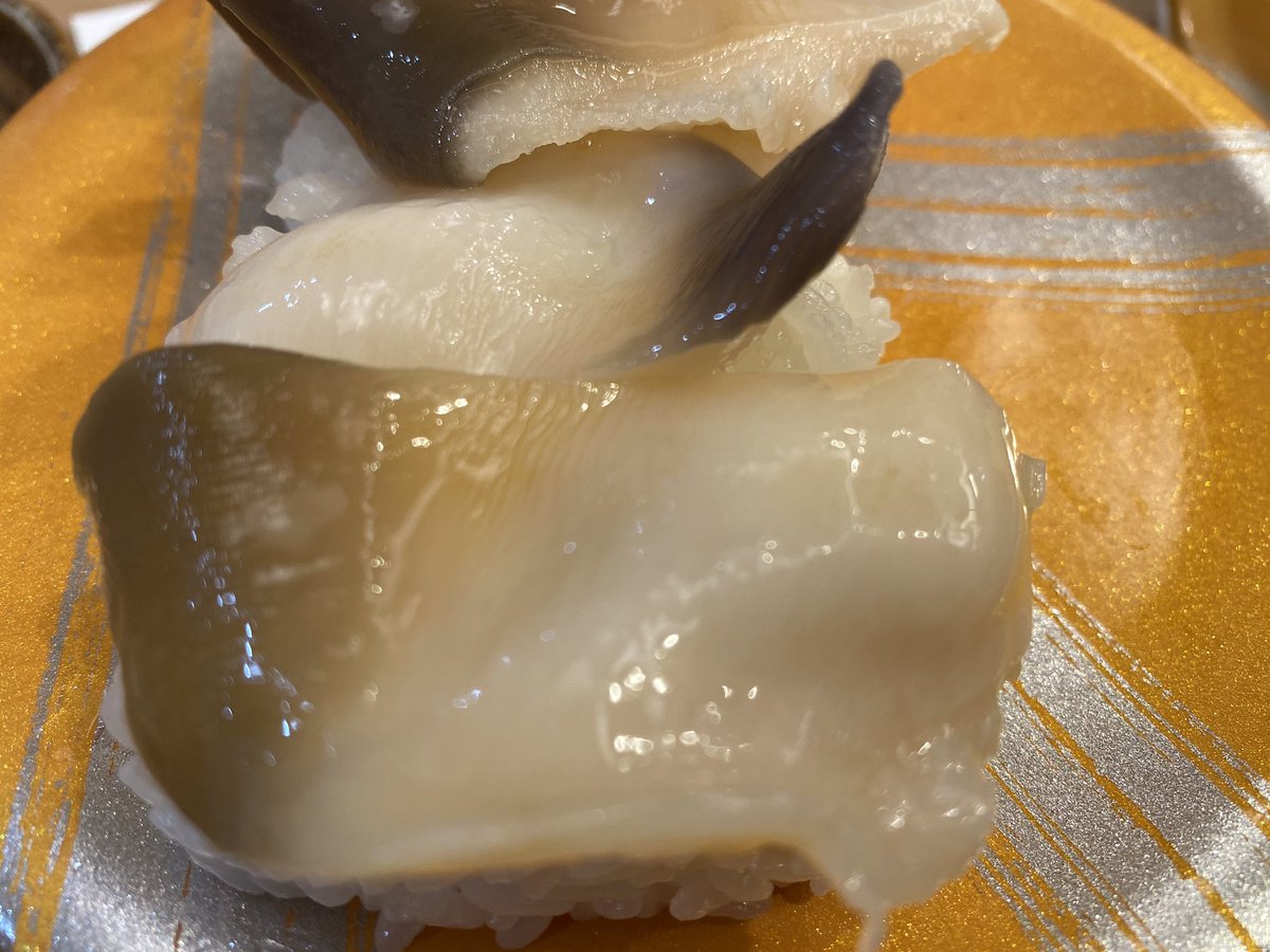 ホッキ貝 ホッキ貝