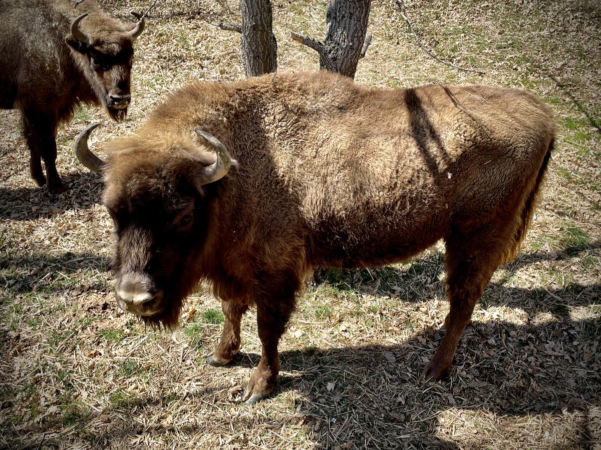 Manuel Ríos San Martín tweet media