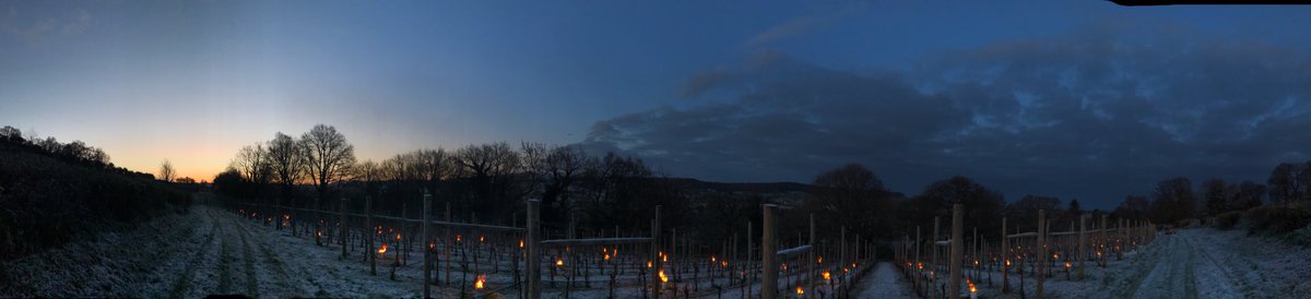 WoodchesterVV's tweet photo. Greg and Nury were up early this morning lighting bougies to protect our Chardonnay vines from a late frost. You can read more about frost protection here https://t.co/CCDagGRCfN #SpringFrost #LateNightOrEarlyMorning #LightTheBeacons #Viticulture https://t.co/puaFHaGU1e