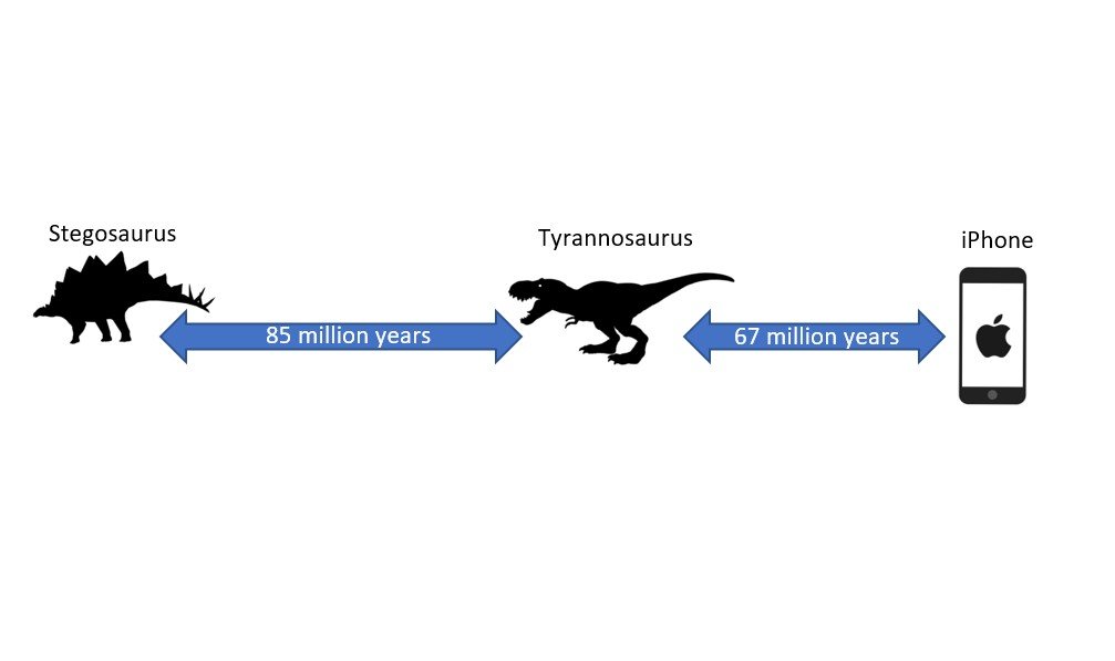 romanpalace's tweet image. Today we will mainly be dealing with the realization that a Tyrannosaurus is chronologically closer to an iPhone than it is to a Stegosaurus.
