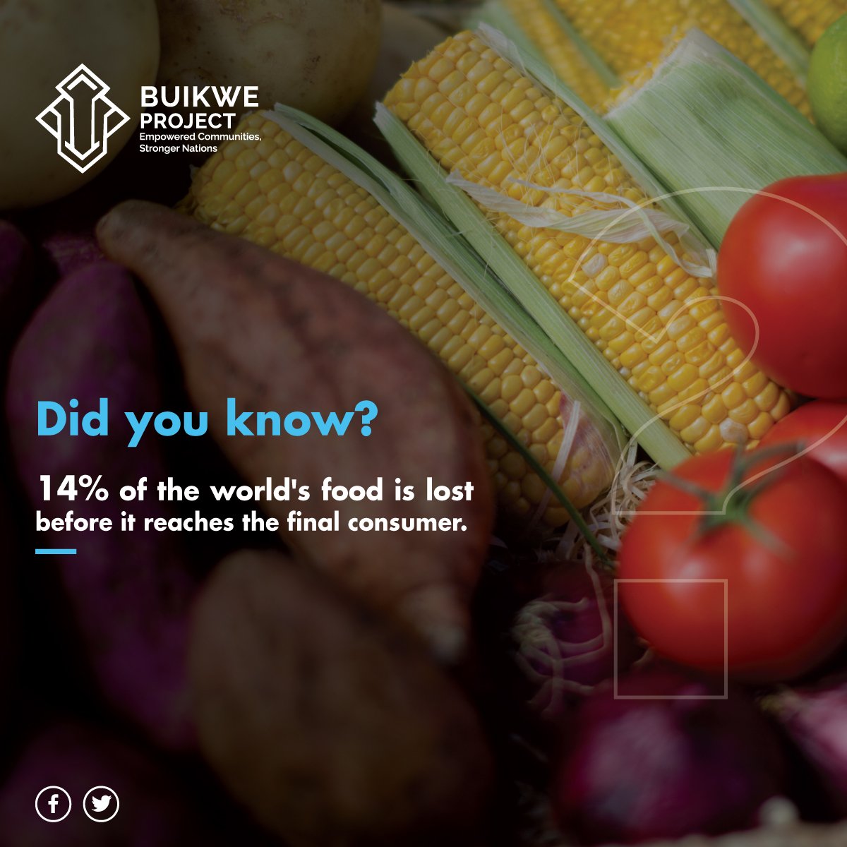 As natural resources become scarcer, we cannot afford to use land, water and fuel to produce food that nobody will get to eat.

#BuikweProject
#SmartFarming