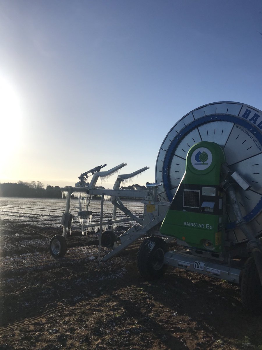 Think I will need my gloves on moving irrigation this morning 🥶🥶