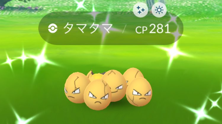 タマタマ Twitter Search タマタマ Twitter Search