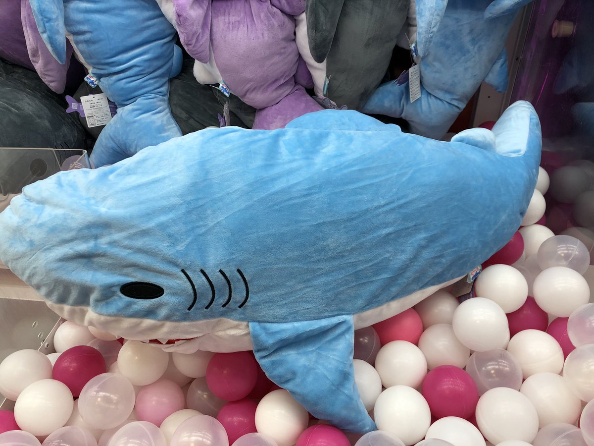 タイトーステーション アミュプラザ鹿児島 最新景品情報 くったりしてるので一緒にくったりしたい くったりホオジロザメ 超big2 只今入荷致しました お隣にもサメがあるのですが 色と触り心地が違います 是非 Getしちゃいましょ