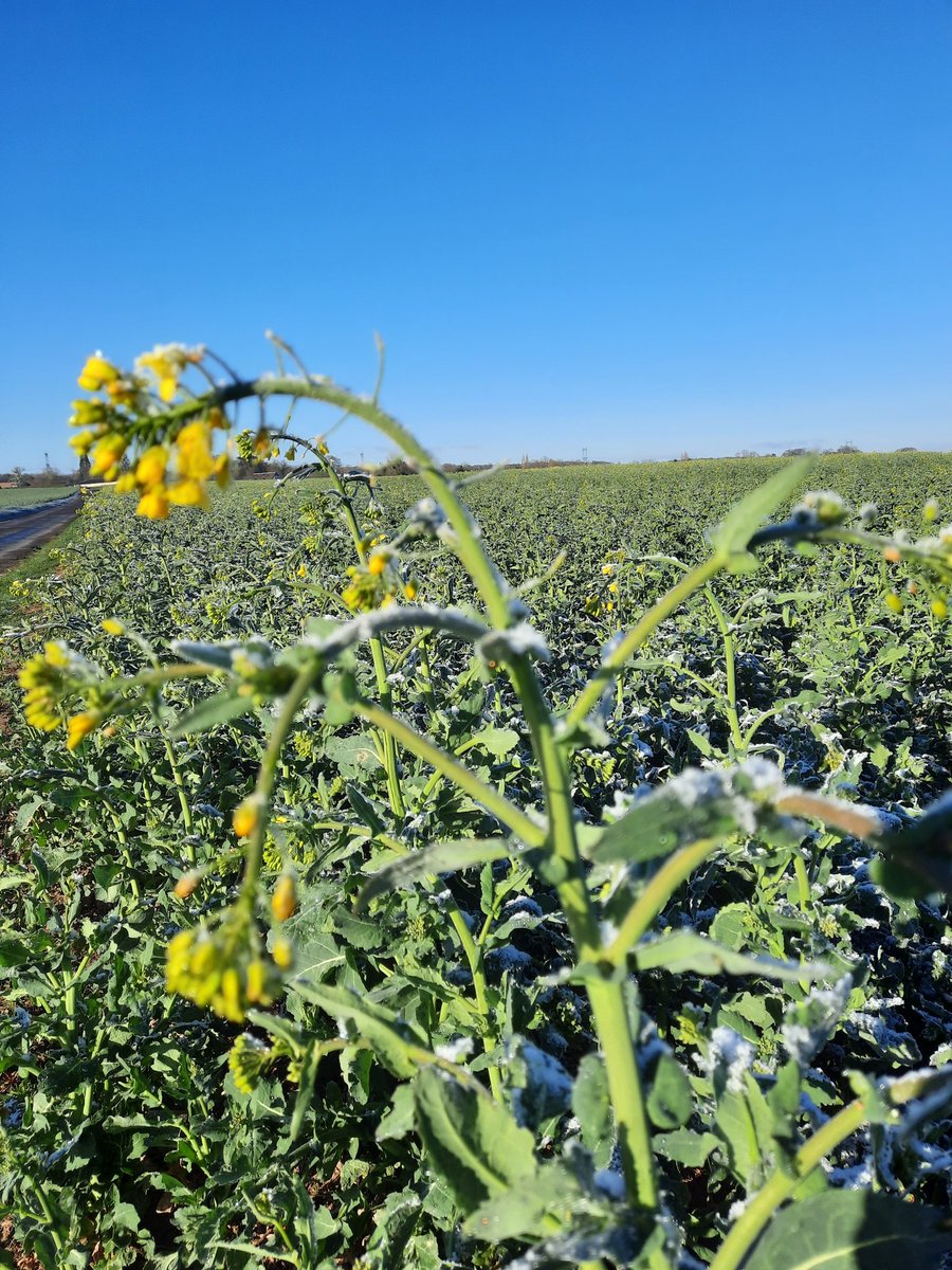 Lievens Gilles 🌻💙💛 tweet media