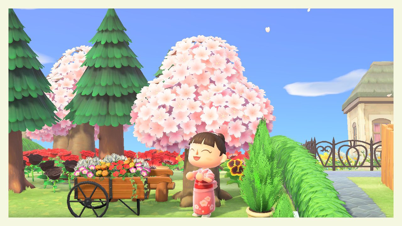 🍁🍂 Nadia 🍂🍁 on Twitter "Some photos of me enjoying this cherry