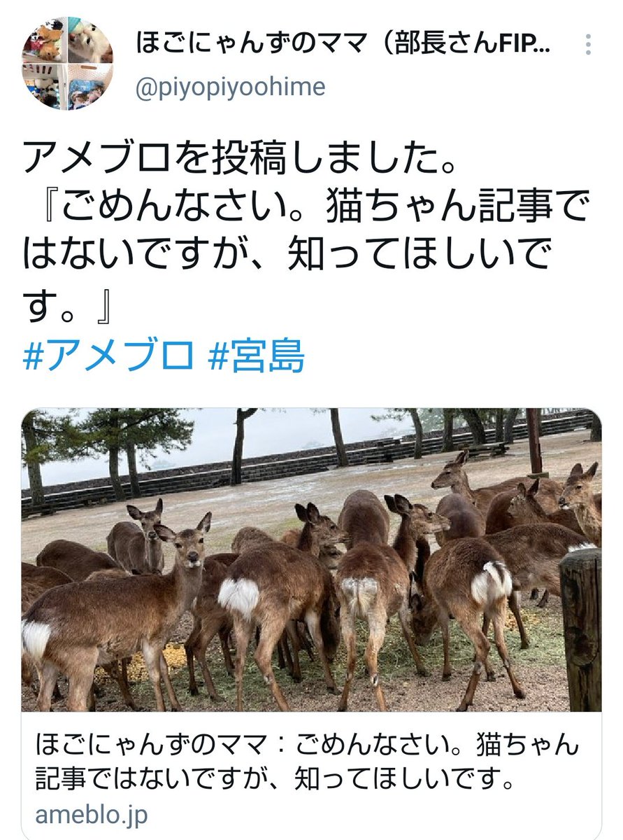 あなごめし野郎 On Twitter 奈良の鹿は鹿煎餅など食べる物があり守られてるのになんで宮島の鹿は飢えて餓死させようとしてるの ガリガリだし 山に帰れば食べるものはある え 食べられるものは殆どない 餓死させるの 日曜日 餌やりばあさんに同行した方の