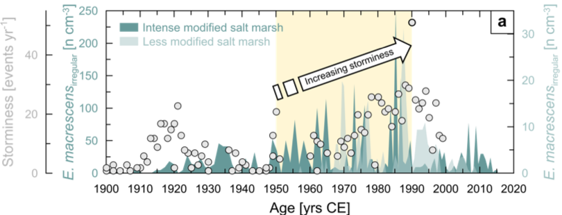 SPP_SeaLevel's tweet photo. How do cognitive biases affect our perception of #sealevel rise? Why more frequent #storms surges stress salt marshes? also, latest improvements at the contributions of Arctic glaciers at #sealevelrise + more at the new @SPP_SeaLevel  newsletter https://t.co/v9sdpHkJIQ https://t.co/9ubKcIfxzS