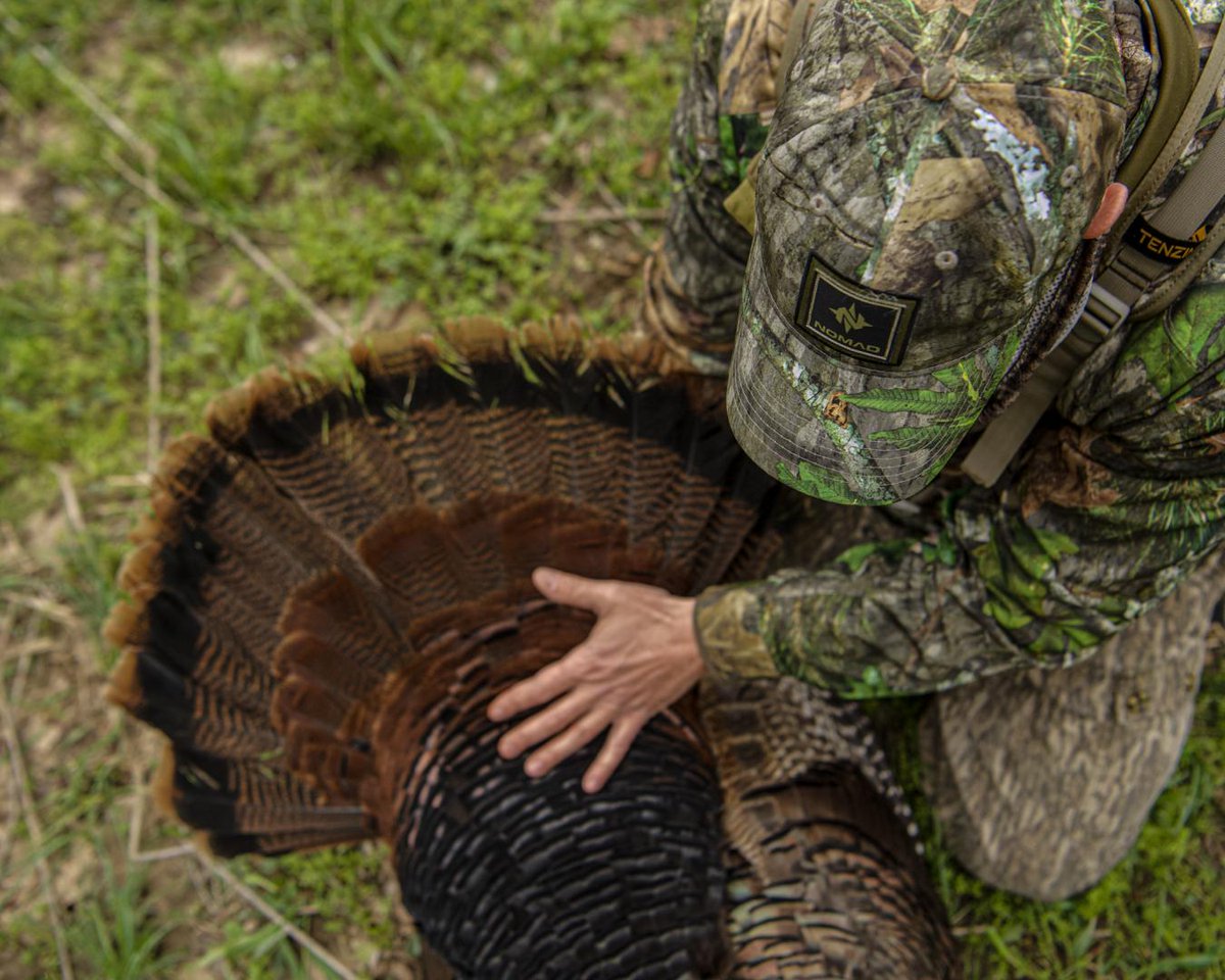 Seek and Respect! #turkeyhunting 🦃 #turkeyseason

 #gofurther #HuntLonger