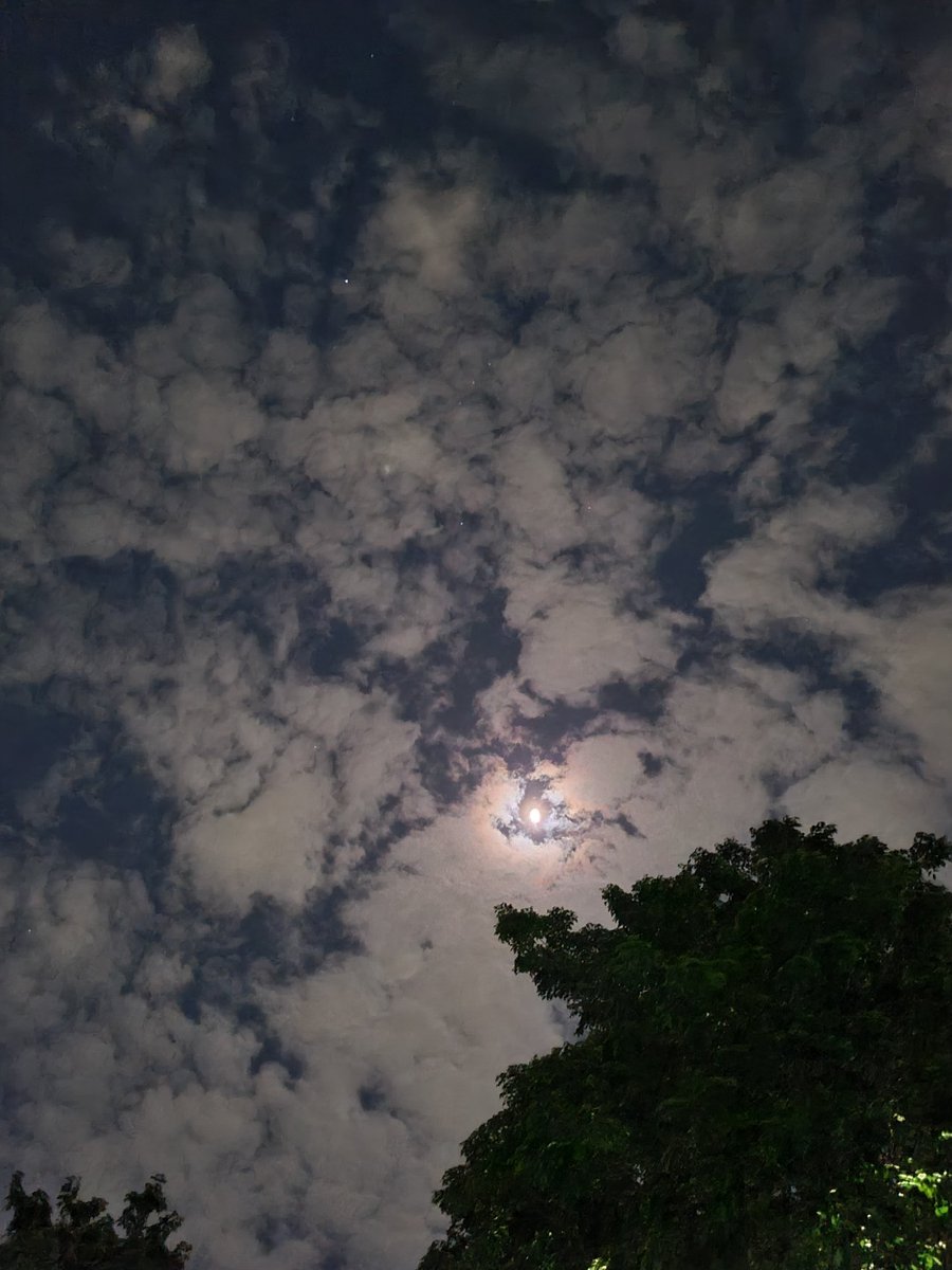 MahathirKassim's tweet photo. Hati takkan rasa peritnya rindu, selagi belum diuji dengan sebuah kehilangan.

Rindu itu umpama hati yang telah dibawa pergi
hanya Allah saja yang mampu mengisi ruang kalbu yang hilang ini. https://t.co/8GfQZWceiR