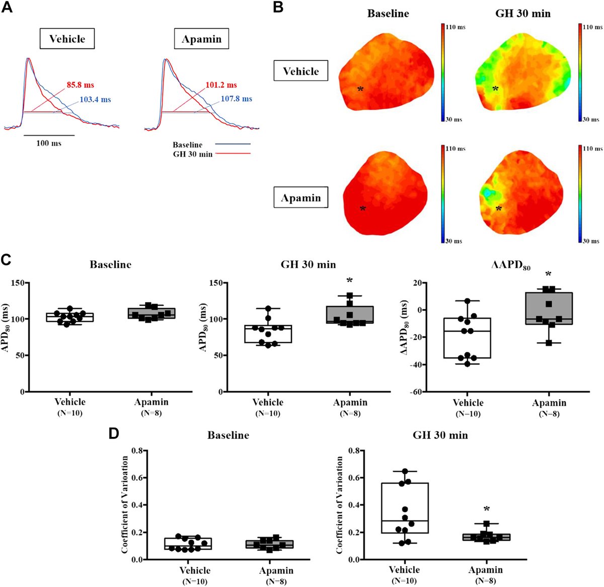 Midweek #MustRead from AJP-Heart and Circ: SK channel blockade prevents hypoxia-induced #ventricular #arrhythmias through inhibition of Ca2+/voltage uncoupling in hypertrophied hearts (Takahashi et al.) ow.ly/yMq050EiEPr