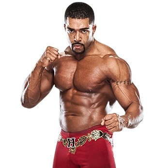 Happy birthday to former WWE Tag Team Champion, David Otunga. 