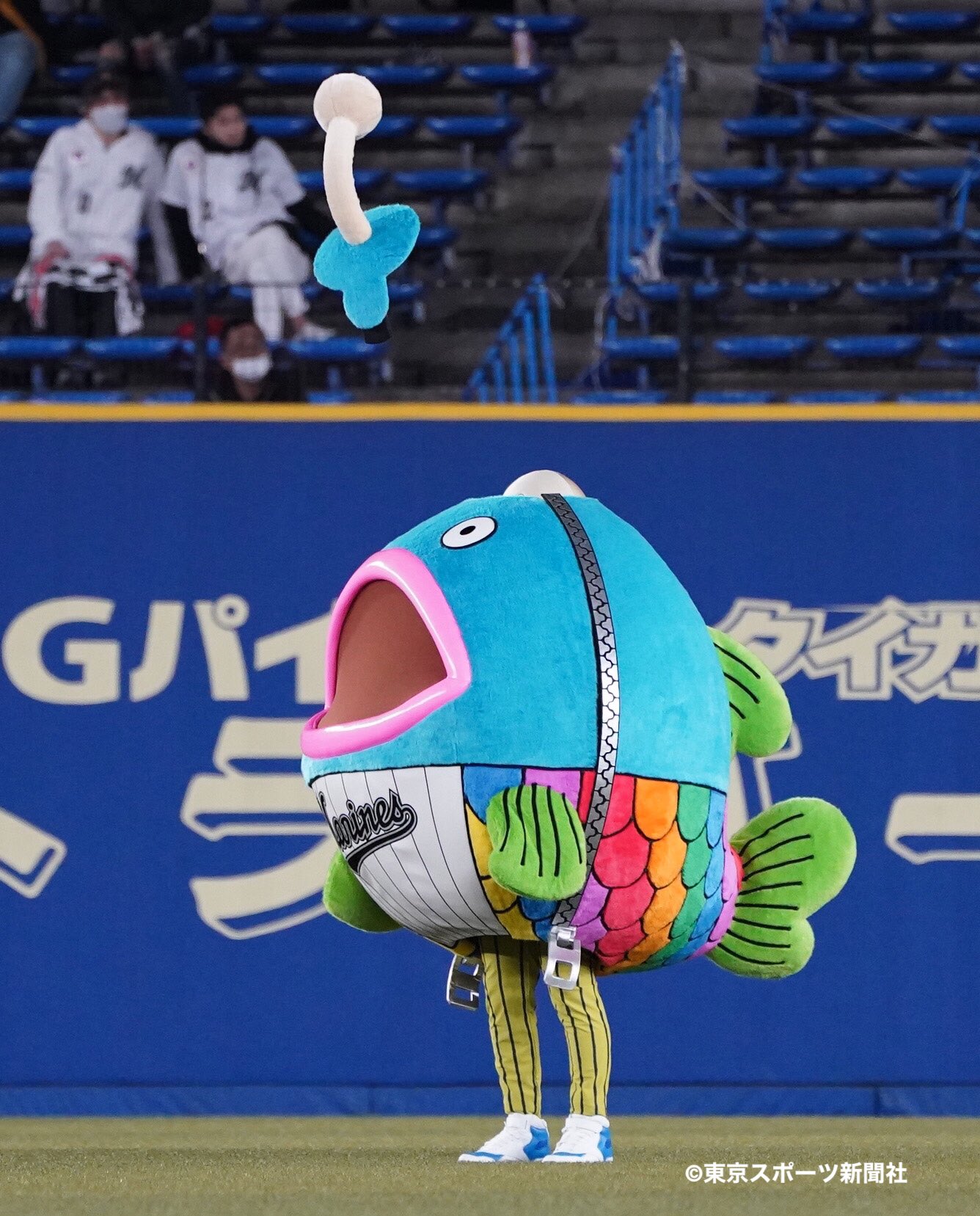 東スポ 写真部 在 Twitter 上 プロ野球 21年4月7日 Zozoマリンスタジアム 千葉ロッテマリーンズ対オリックス バファローズ ロッテ公式キャラクター 謎の魚 7日も完全最終形態で登場 踊りのパフォーマンスを披露した Chibalotte Bs21 Orix ロッテ 謎