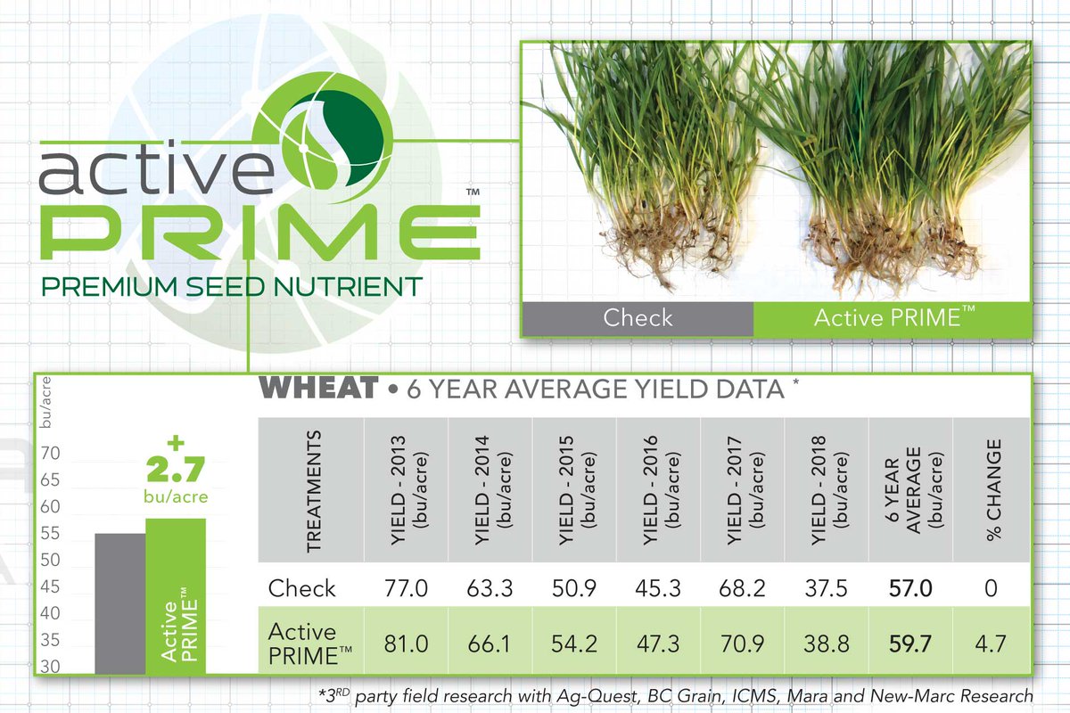 AAgriScience's tweet image. Multiple years of research data show that Active PRIME #seedtreatment boosts your #wheatcrop yield by 4.7%.

To learn more about how Active PRIME protects #seeds, improves #germination and boosts #rootgrowth, please visit activeagri.com/active-prime.