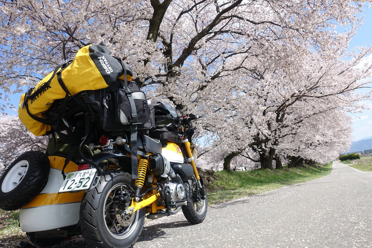 Monky Sidecar tweet media