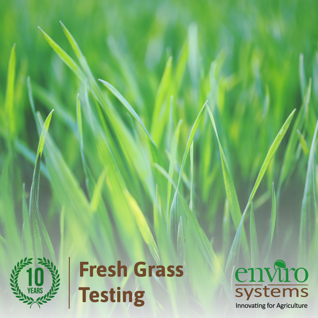 Envirosystemsuk's tweet photo. 💭 Did you know? We've been providing FREE OF CHARGE grass analysis from our IN-HOUSE lab for all of our OptiSile silage additive customers, for over 10 years!

Interested in trying OptiSile yourself? Give us a call on 01772 860085 📞

#optisile #optisileextra #farming #silage https://t.co/pWcWL9n9Sb