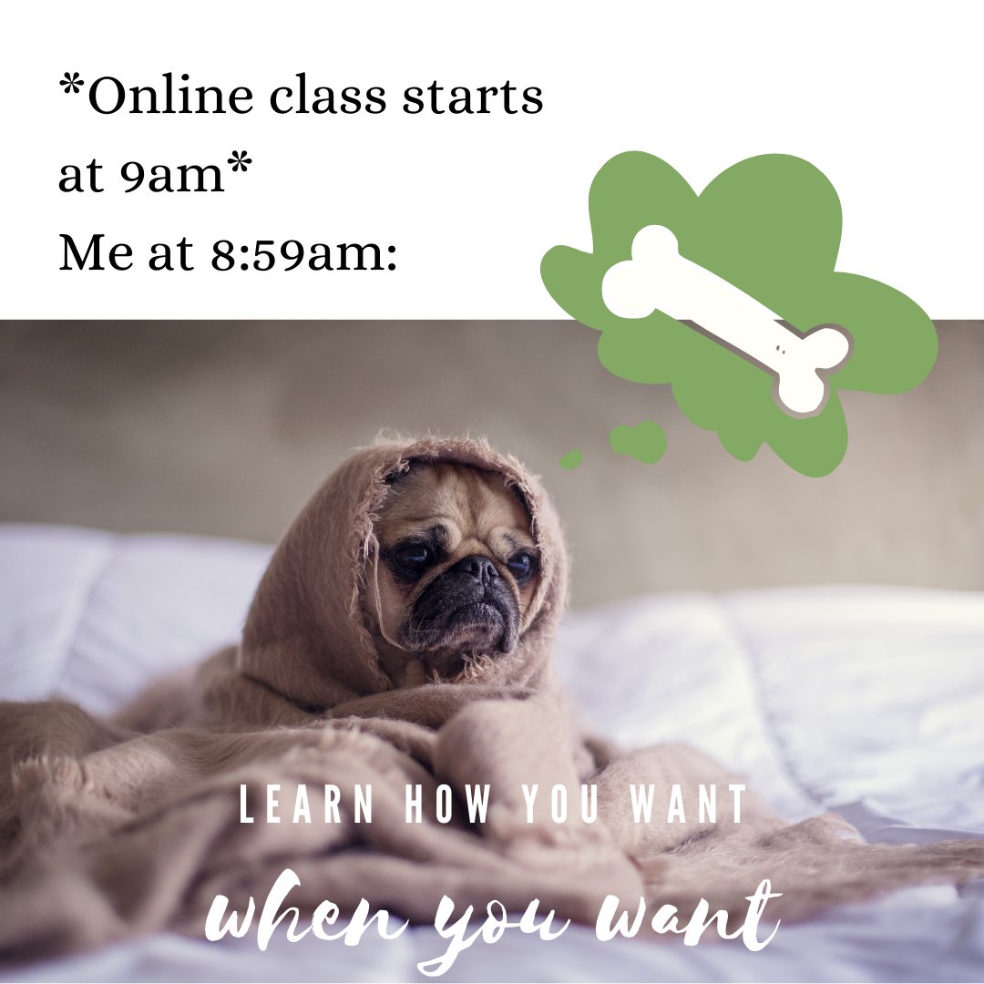 cyndintentional's tweet photo. Not a morning person? Strengthen your interpersonal skills at 5 pm, 11 pm or 3 am.  On demand learning and tools.
Check us out!  https://t.co/KjFZ2eWQ8u
#leader #leadership #success #growth #selfcare #intentionaleaders https://t.co/rMNhVOV28j