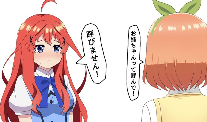 チノちゃん。。 