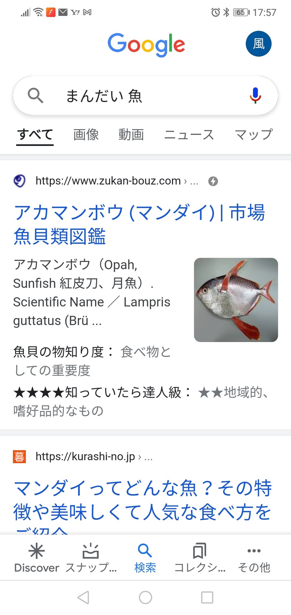 風波ヒロシ パリピおじさん على تويتر マンダイって何 アカマンボウ 初めて知ったわ では アレッキッチン 飯テロ 風波ヒロシ パリピおじさん على تويتر マンダイって何 アカマンボウ 初めて知ったわ では アレッキッチン 飯テロ