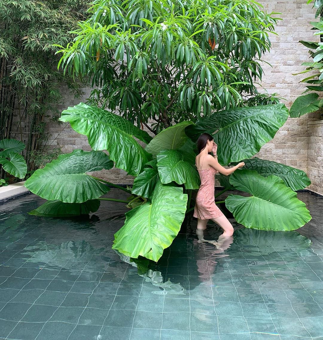 adiTiBLACKPINK's tweet photo. #yaya #urassayas @yayaurassaya https://t.co/UhzcnuGlm2